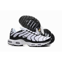 buy wholesale Nike Air Max TN shoes in china