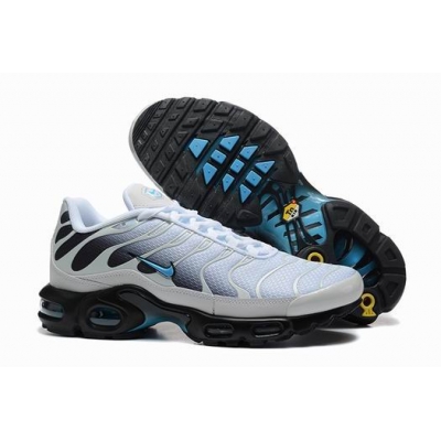 bulk wholesale Nike Air Max Plus TN men shoes