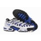 china cheap Nike Air Max Plus TN shoes