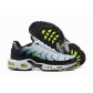 china cheap Nike Air Max Plus TN shoes