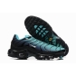 china cheap Nike Air Max Plus TN shoes