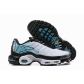 buy wholesale Nike Air Max TN shoes in china